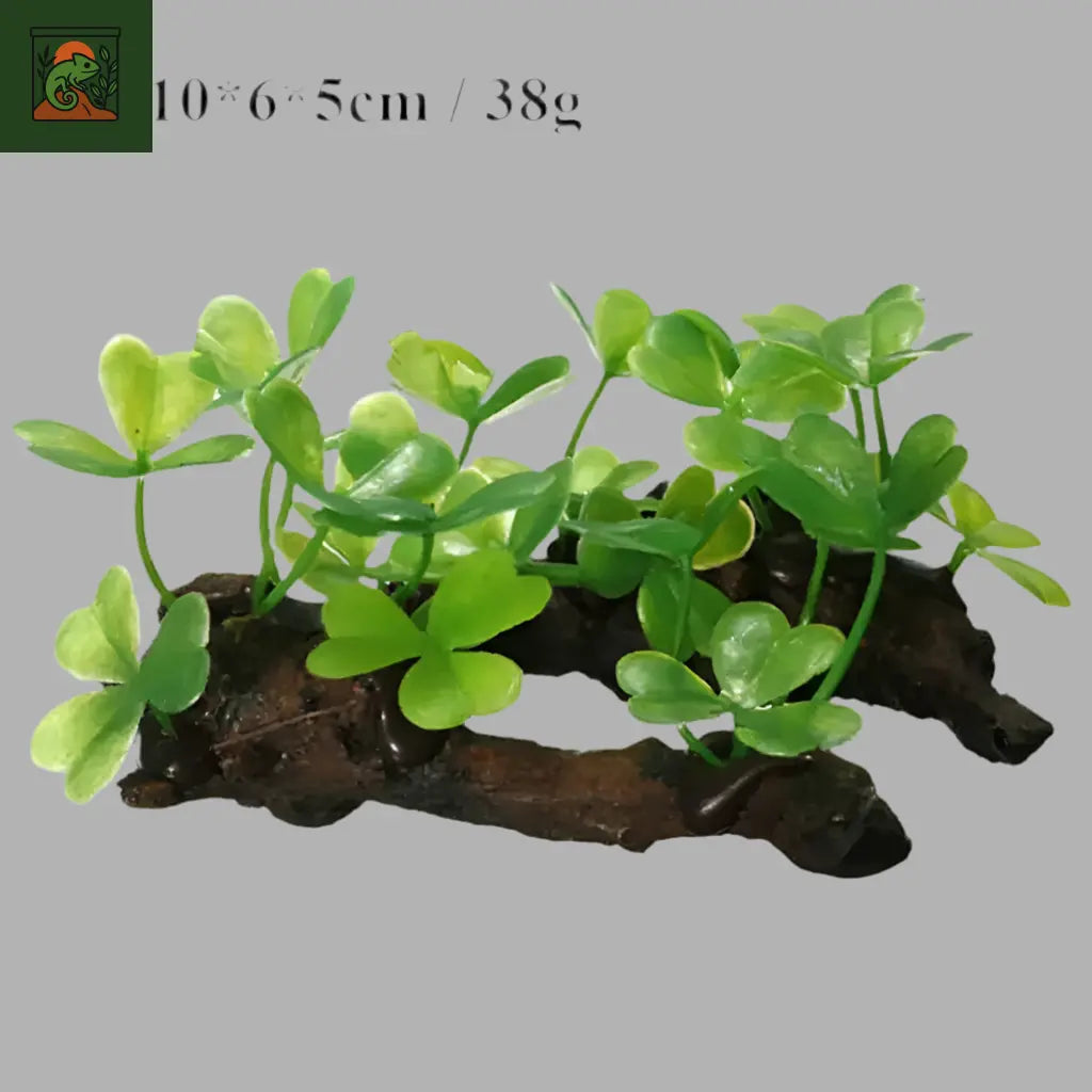 Décoration  Terrarium – Tronc d’Arbre et Racines Artificielles pour Reptiles - LeTerrarium