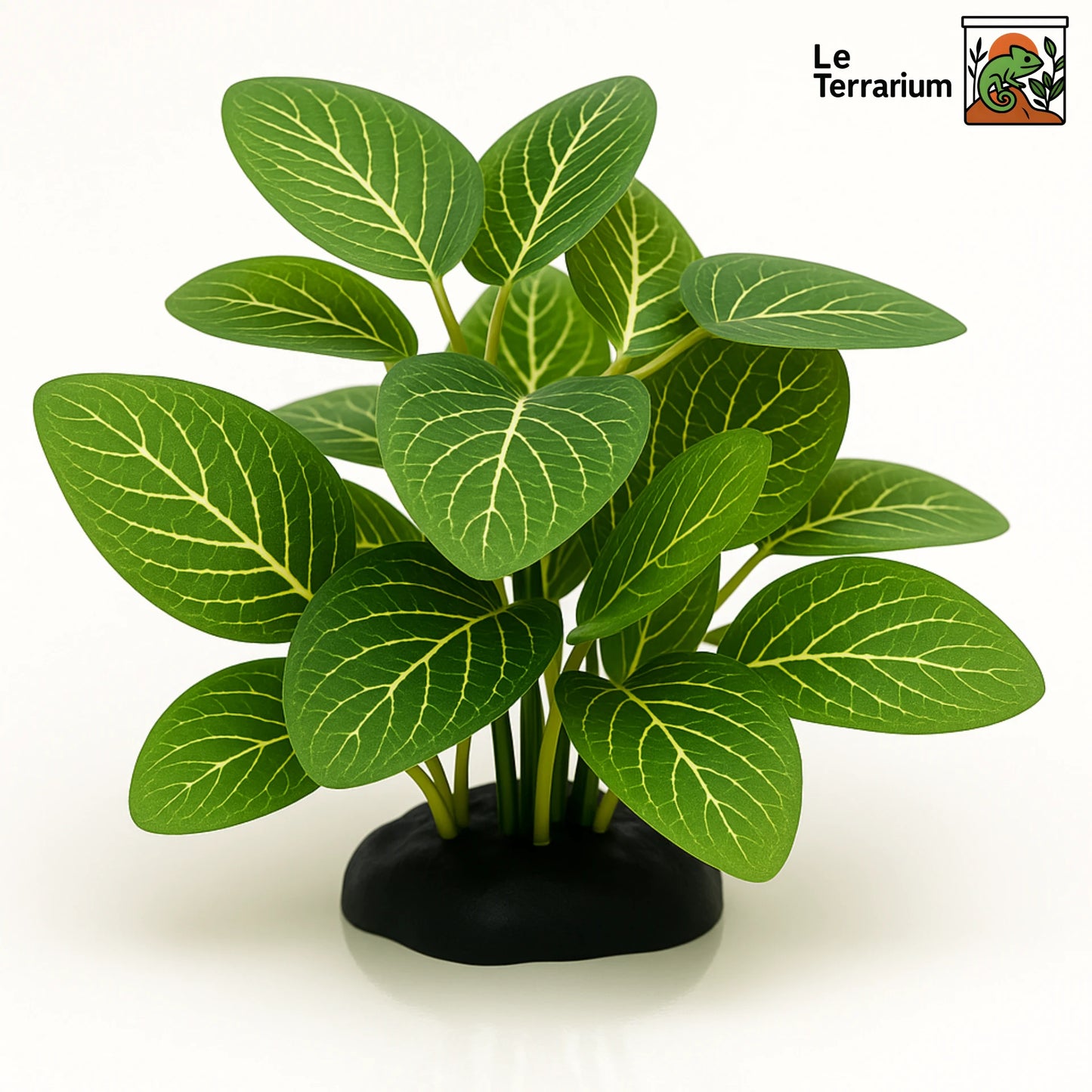 Décoration de Plante Terrarium – Feuillage Tropical Vert 
