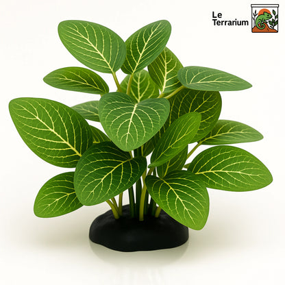 Décoration de Plante Terrarium – Feuillage Tropical Vert 