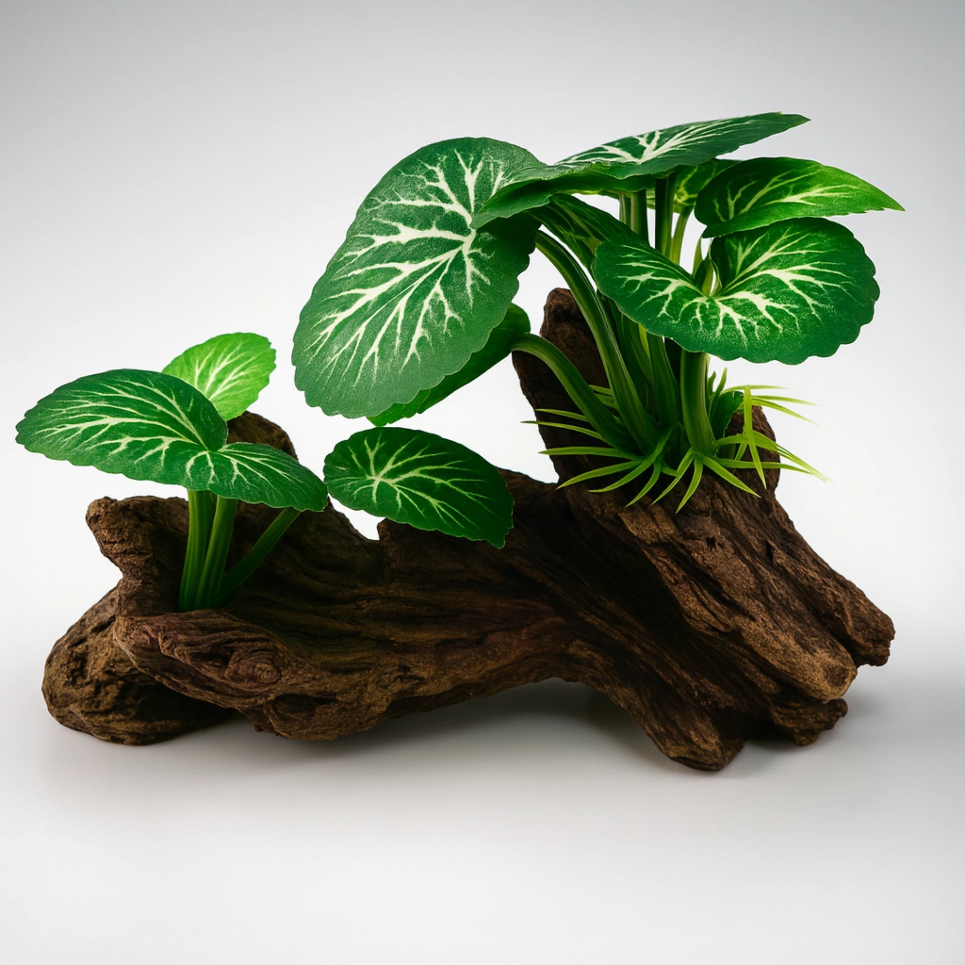 Décoration de Plante Terrarium – Feuillage Tropical Vert 