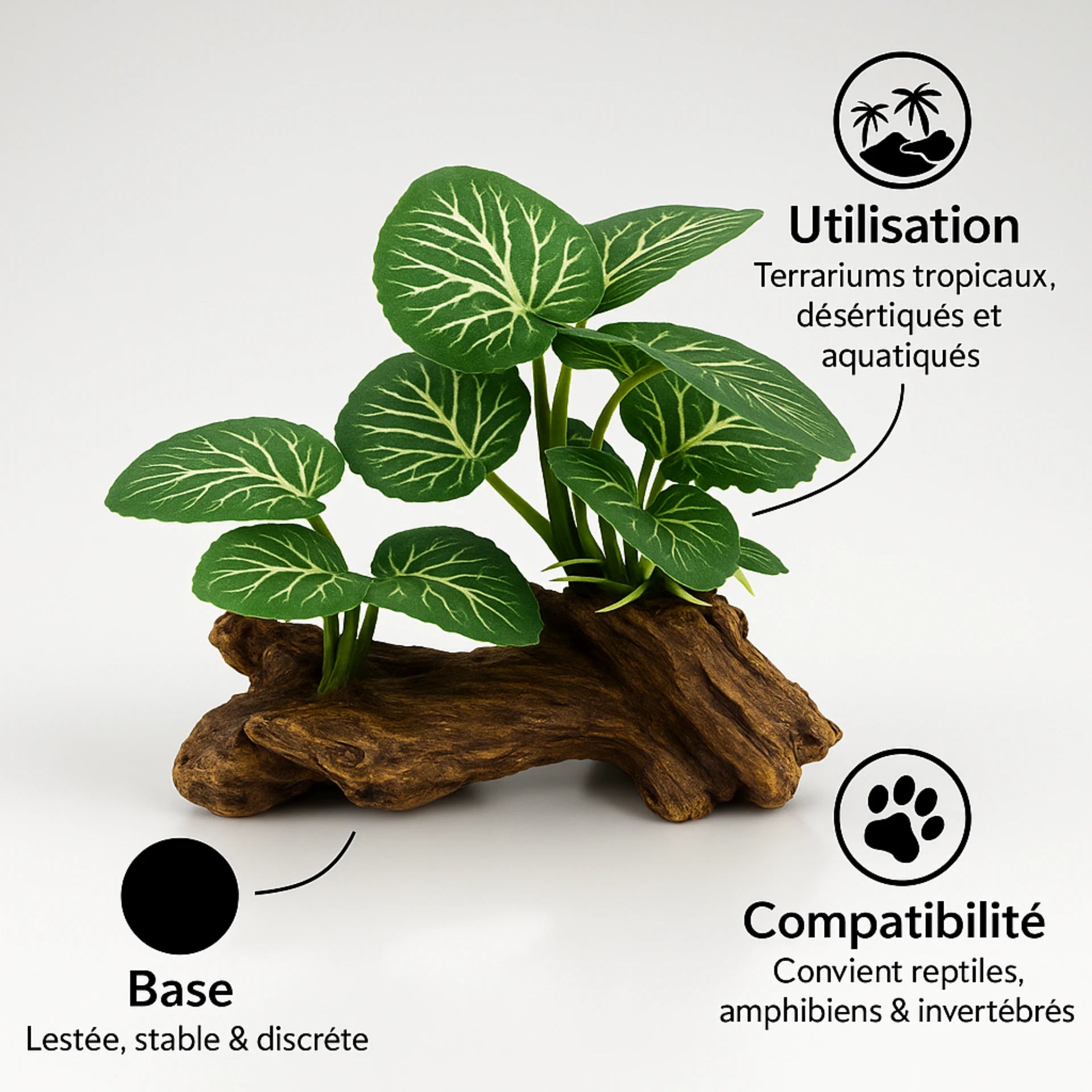 Décoration de Plante Terrarium – Feuillage Tropical Vert 