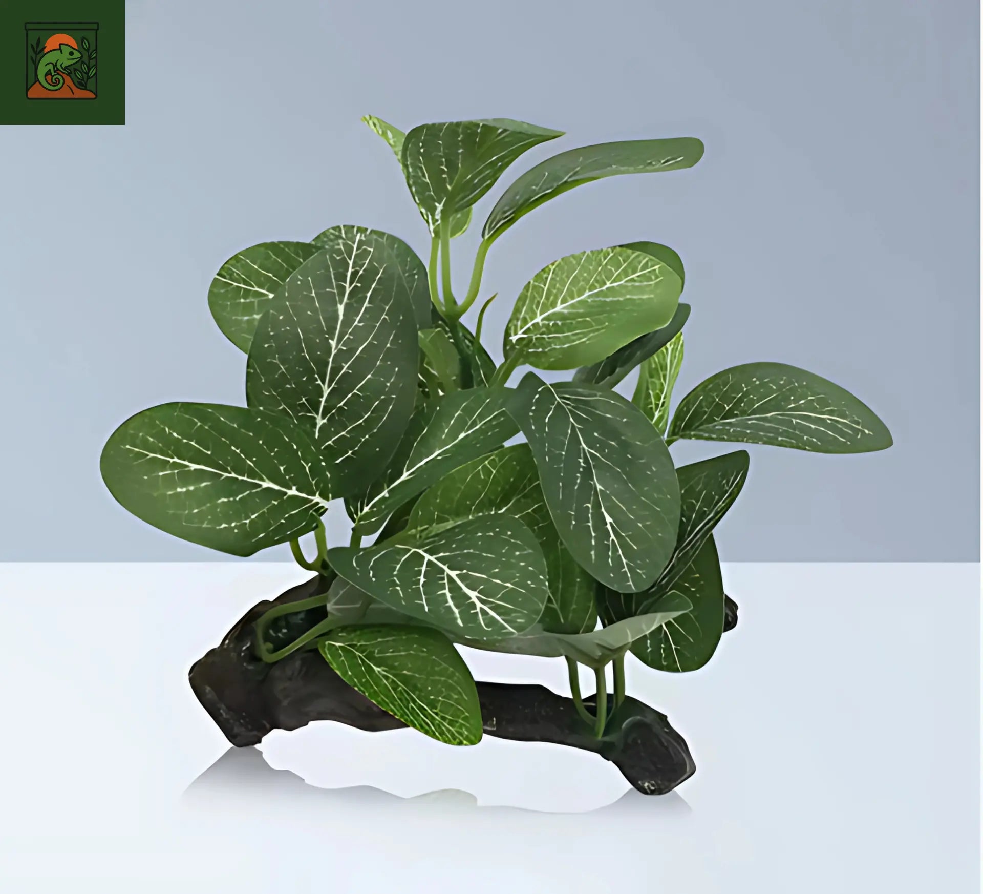 Décoration de Plante Terrarium – Tronc d’Arbre et Racines Artificielles pour Reptiles 
