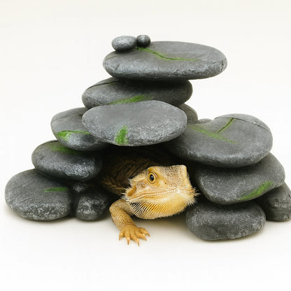 Décoration en Résine pour Terrarium 