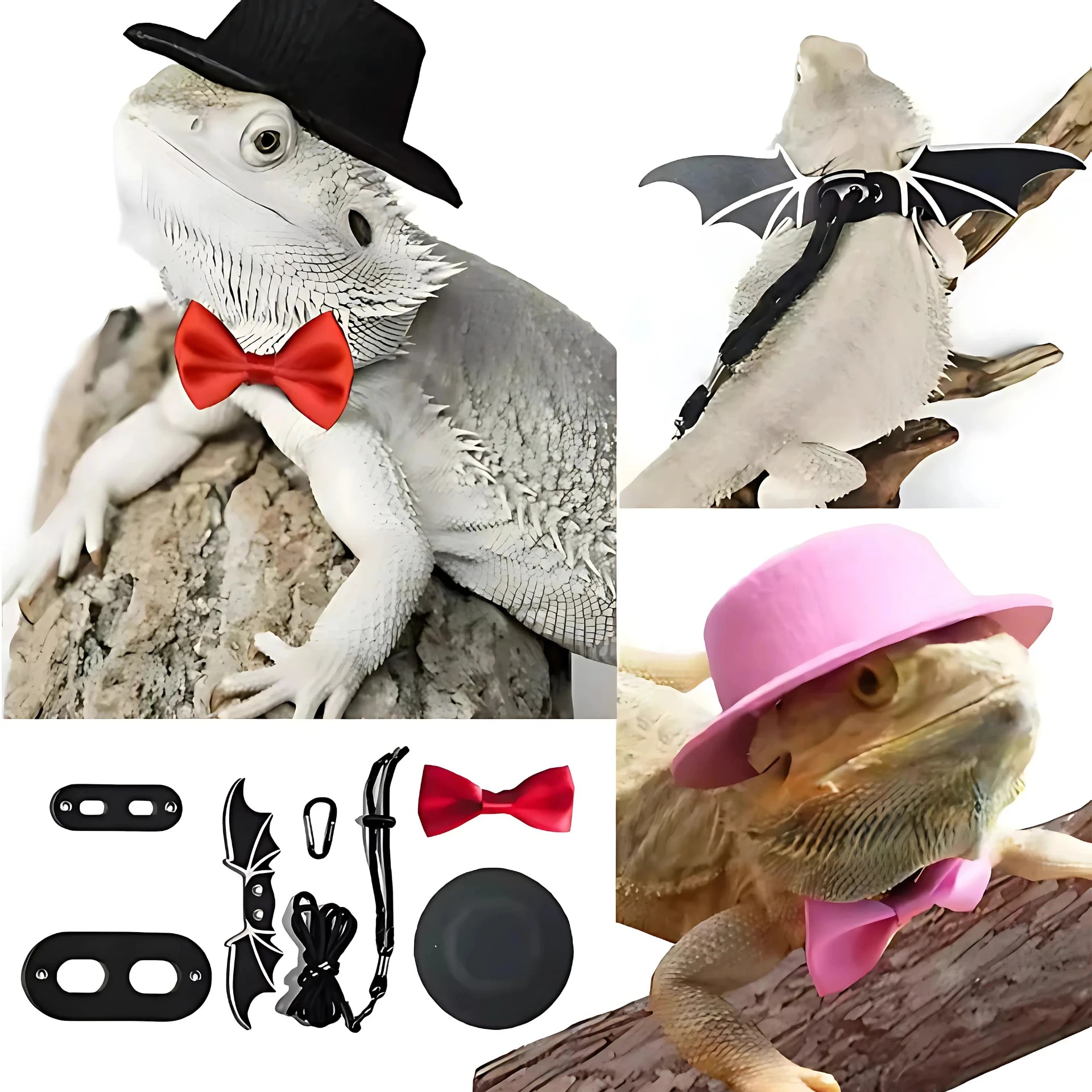 Déguisement et Harnais pour Reptile Terrarium 