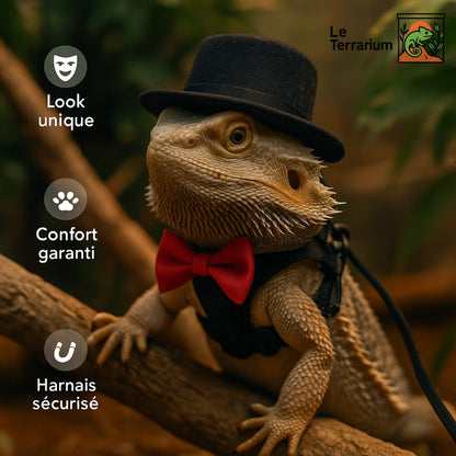 Déguisement et Harnais pour Reptile Terrarium 