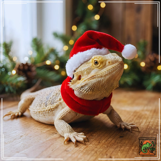 Ensemble chapeau et écharpe de Noël pour reptiles 