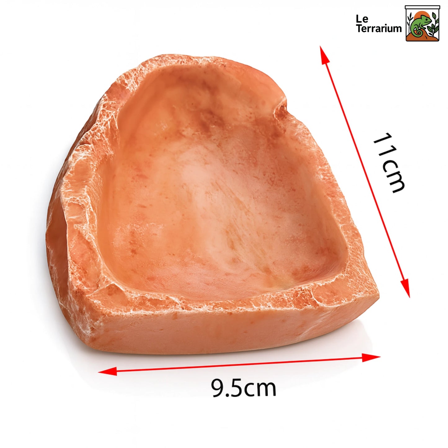 Gamelle en Résine pour Terrarium 