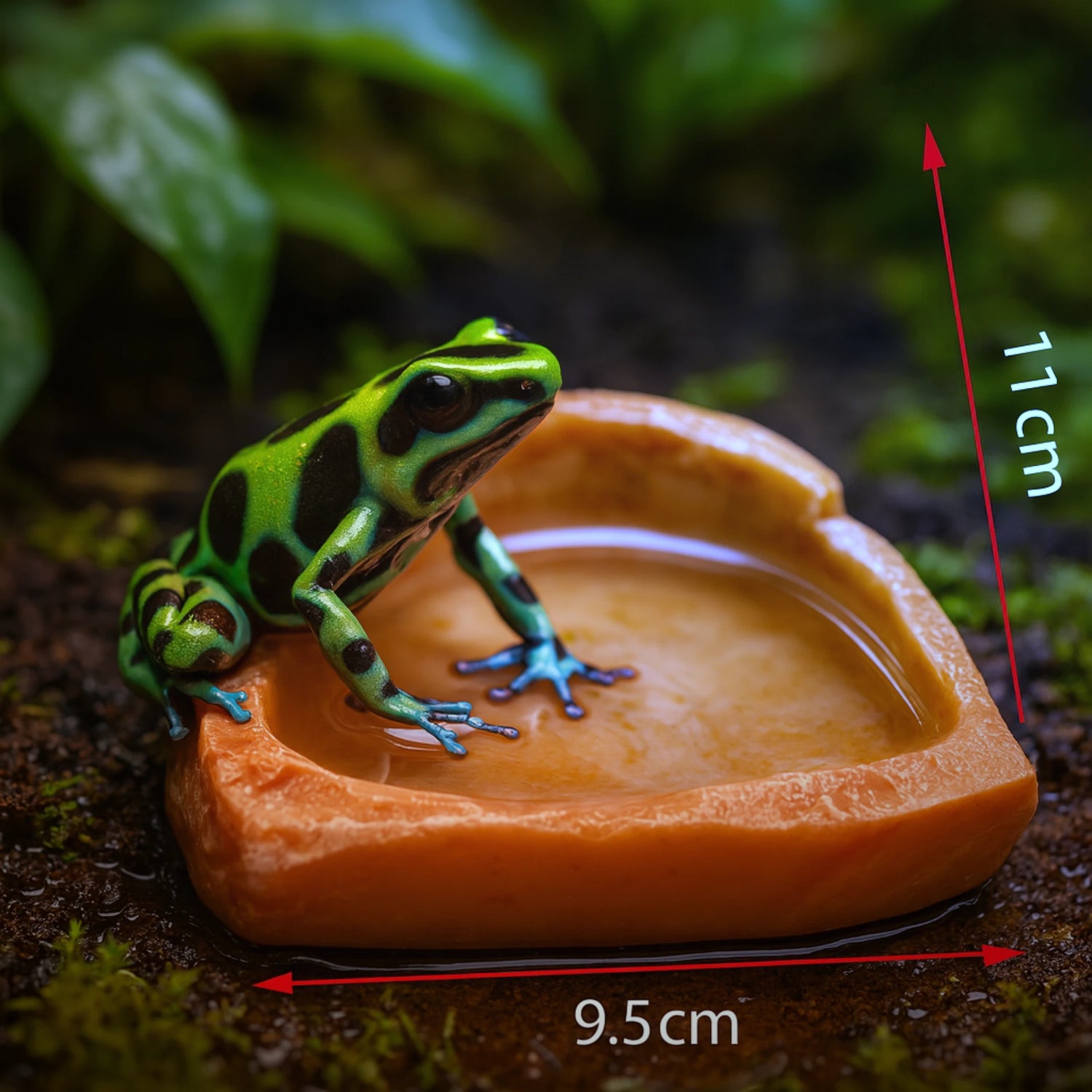 Gamelle en Résine pour Terrarium 