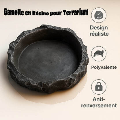 Gamelle en Résine pour Terrarium 