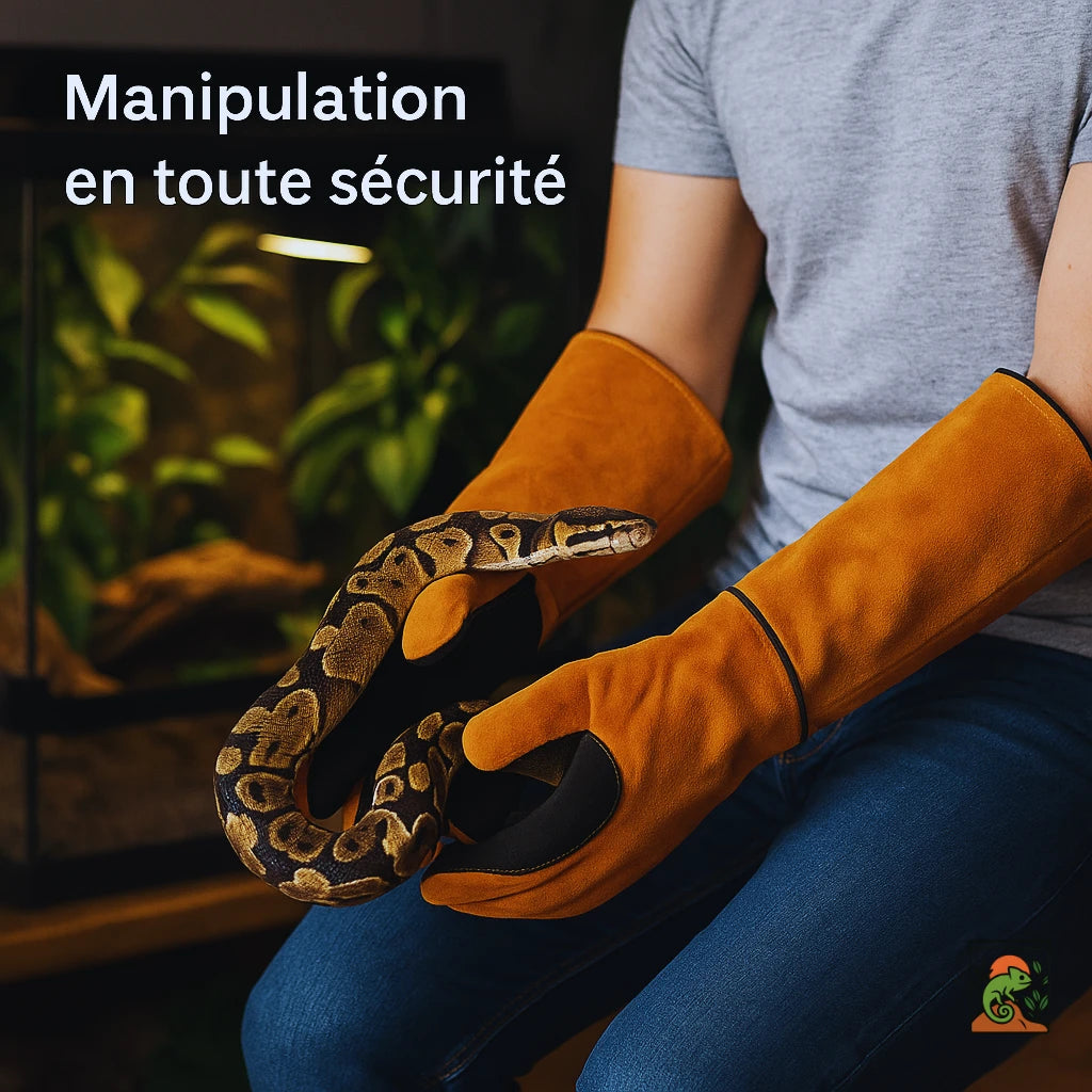 Gants Anti-Morsure en Cuir Véritable pour Terrarium 