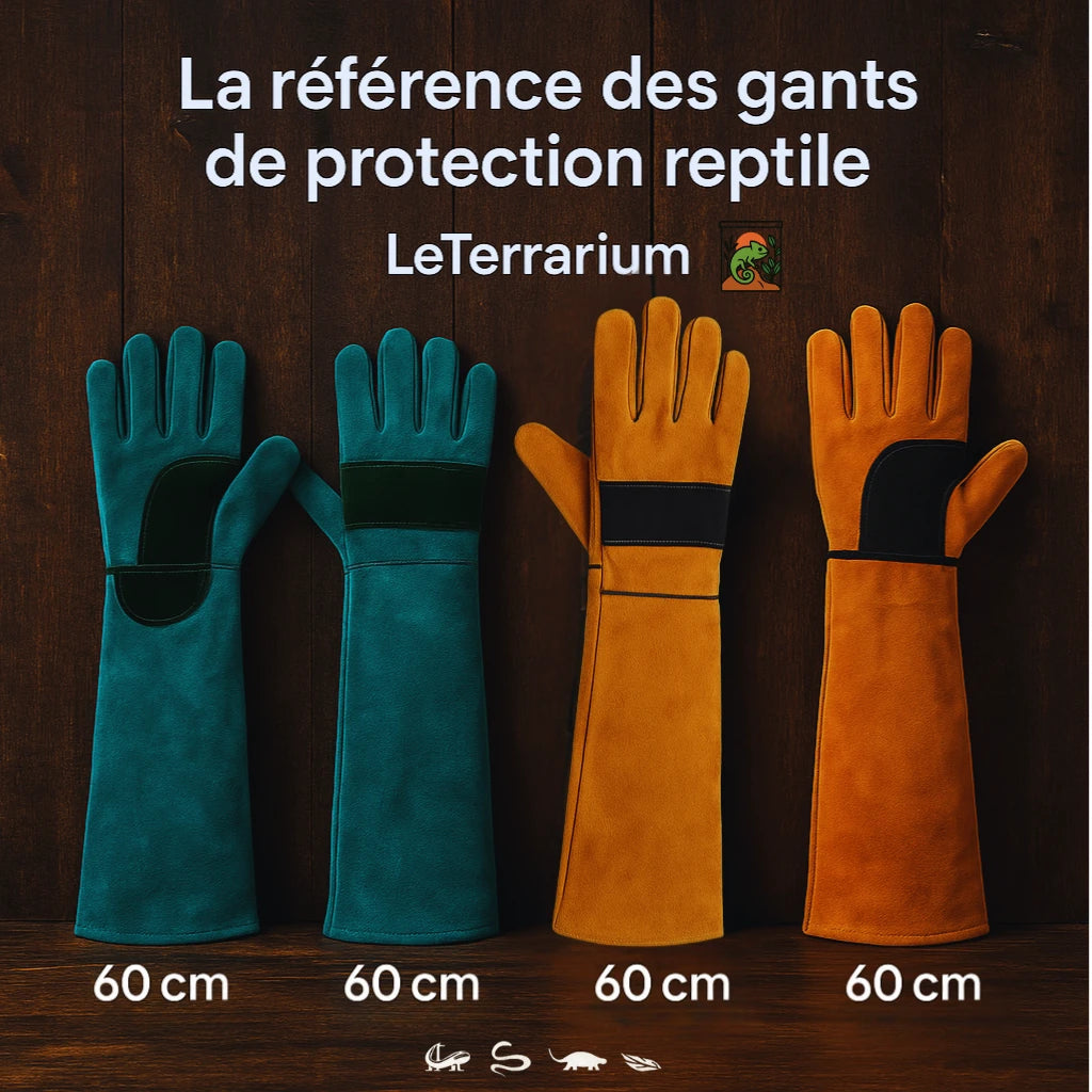 Gants Anti-Morsure en Cuir Véritable pour Terrarium 