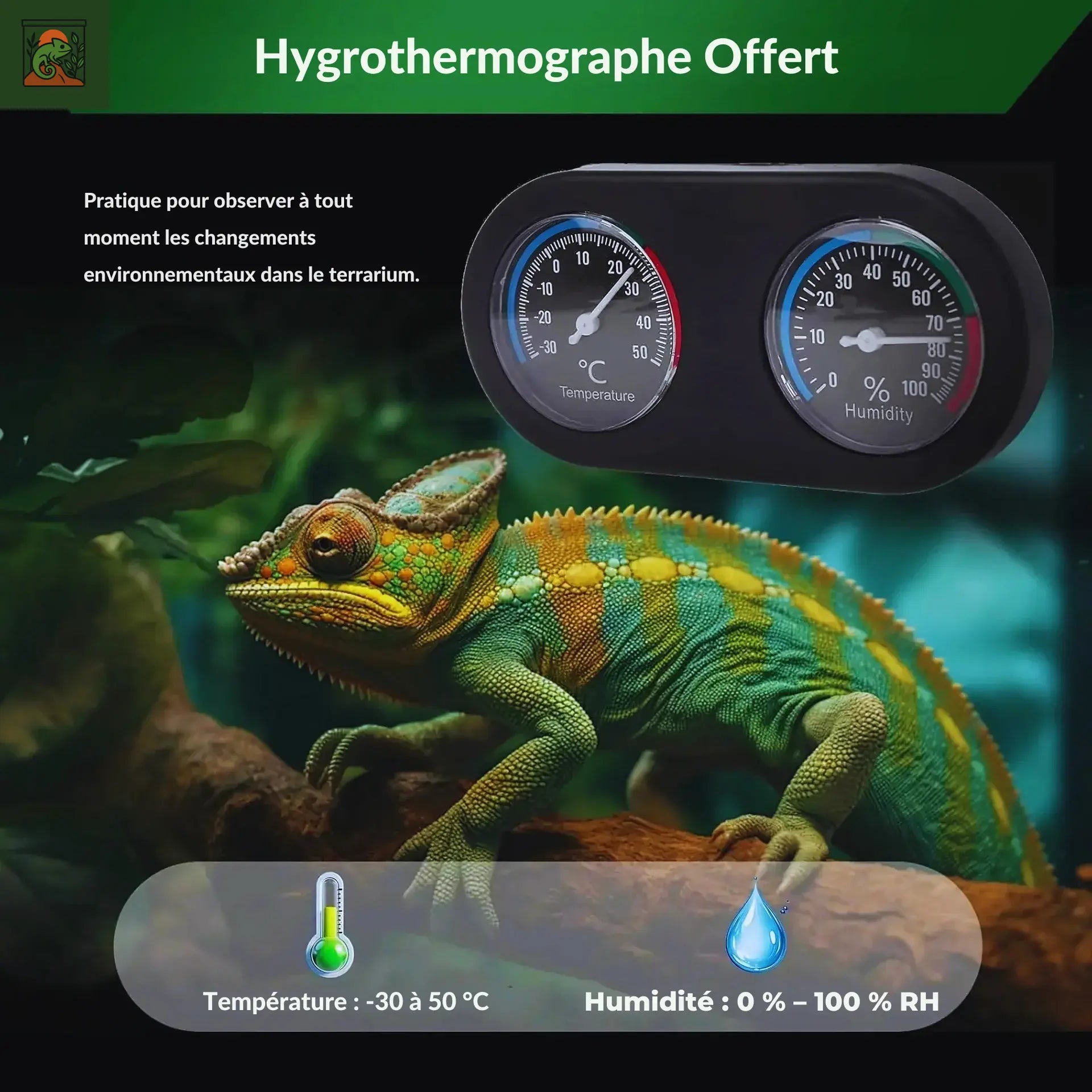 Grand Terra en verre 90×45×45 cm – Terrarium 50 Gallons 