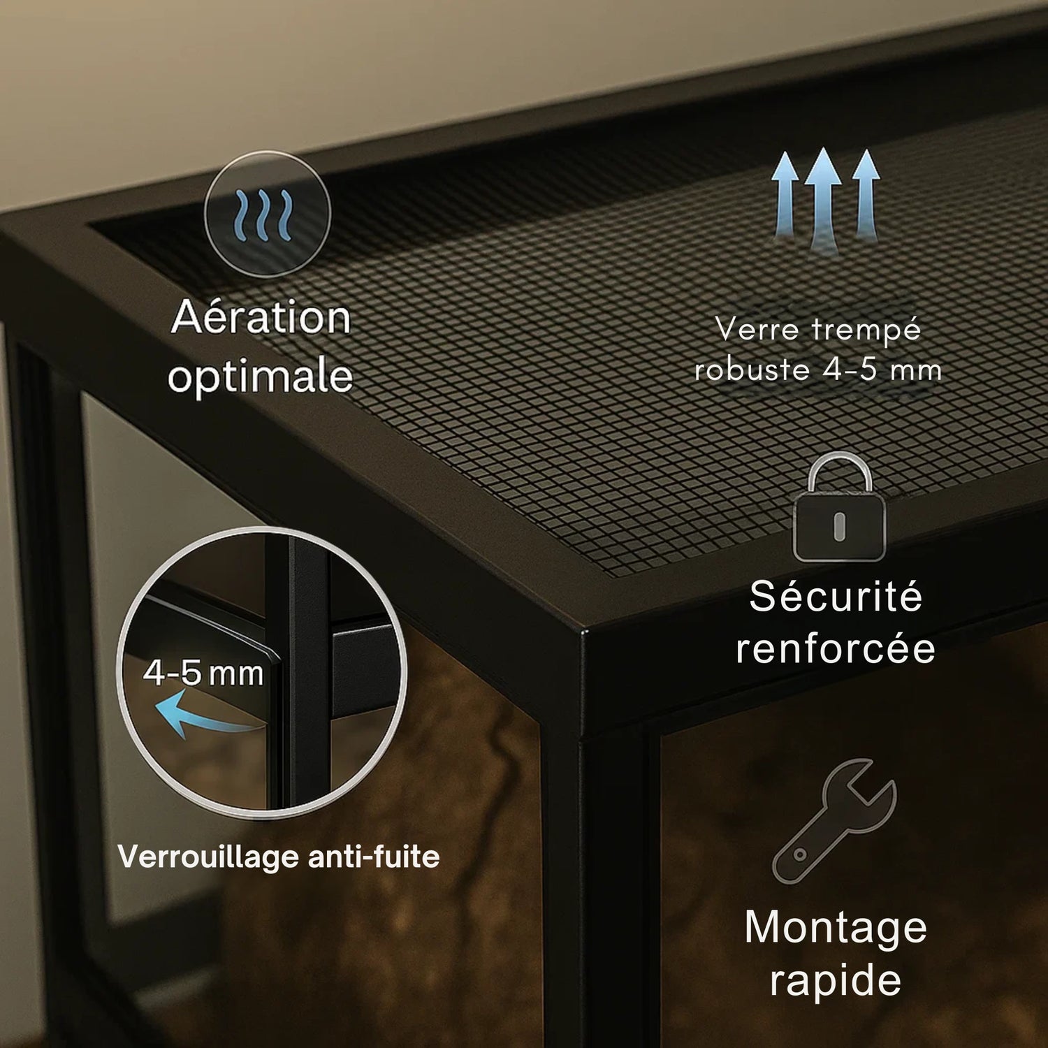 Grand Terrarium en verre 