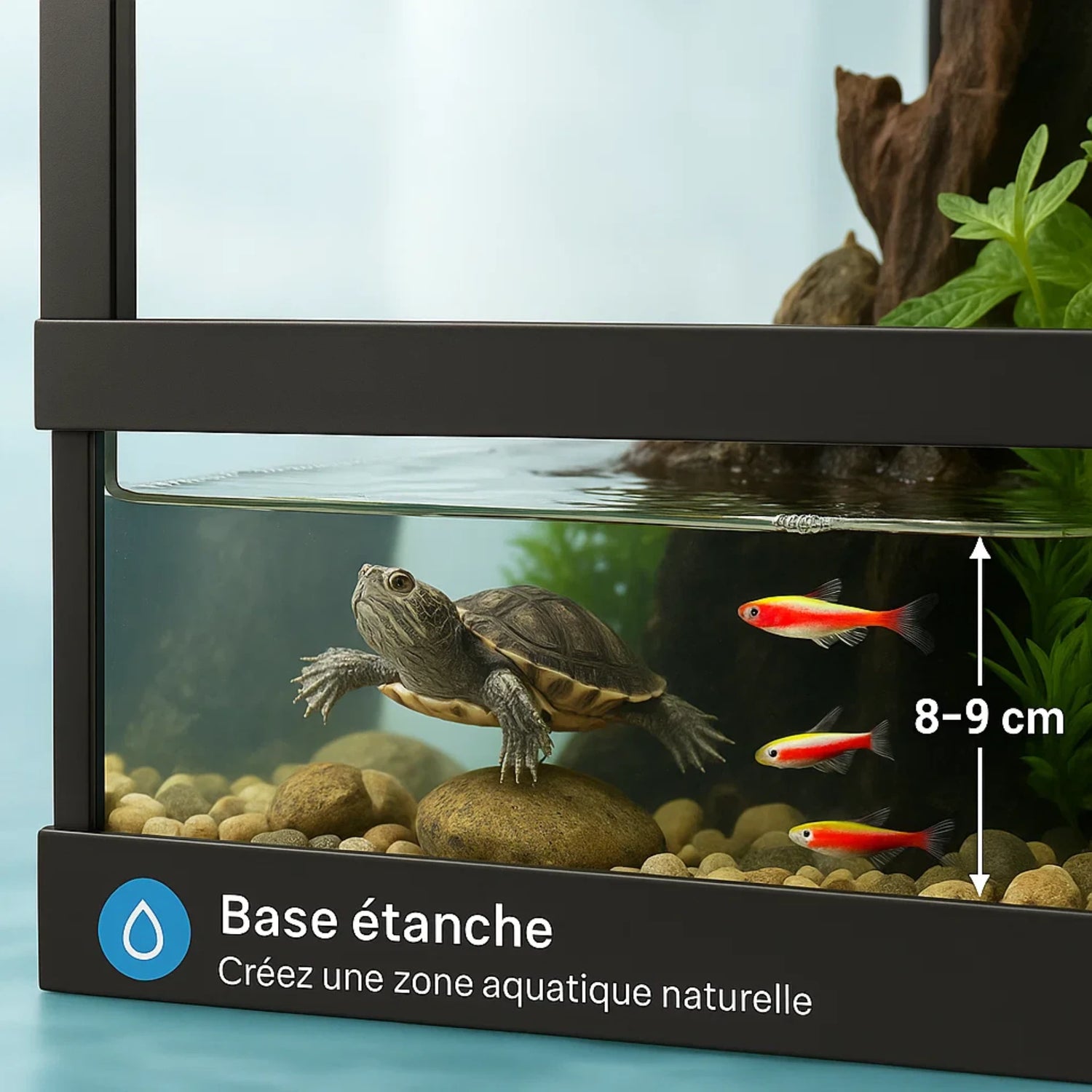 Grand Terrarium en verre 