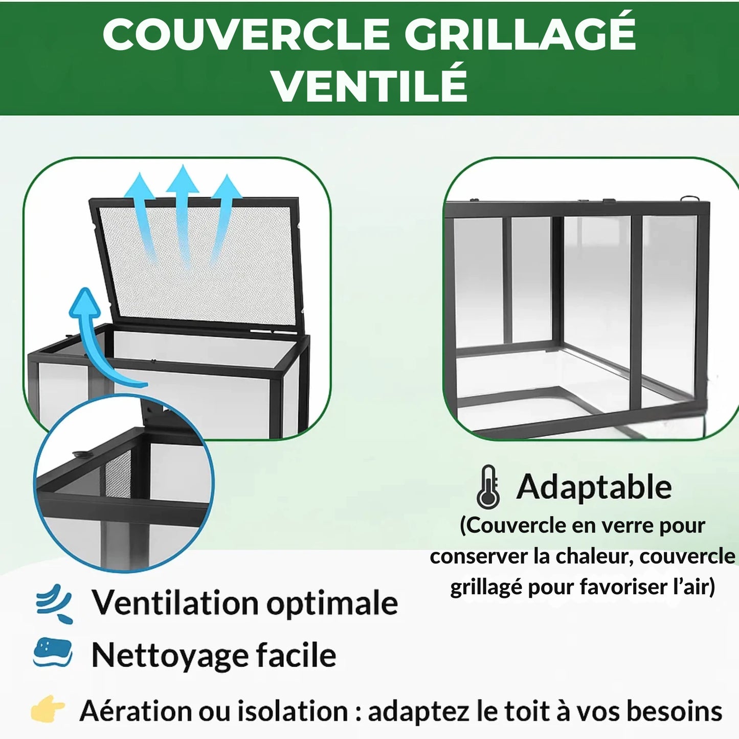 Grand Terrarium en verre 