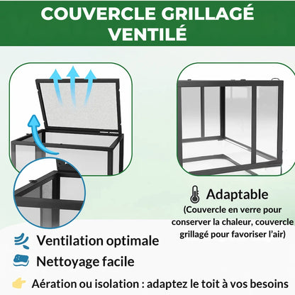 Grand Terrarium en verre 