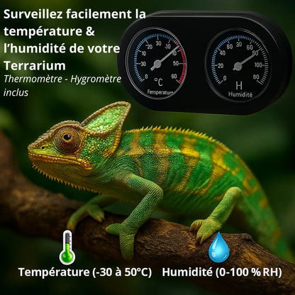 Grand Terrarium en verre 