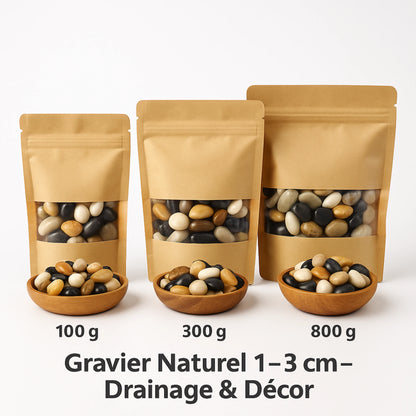Gravier Naturel pour Terrarium 