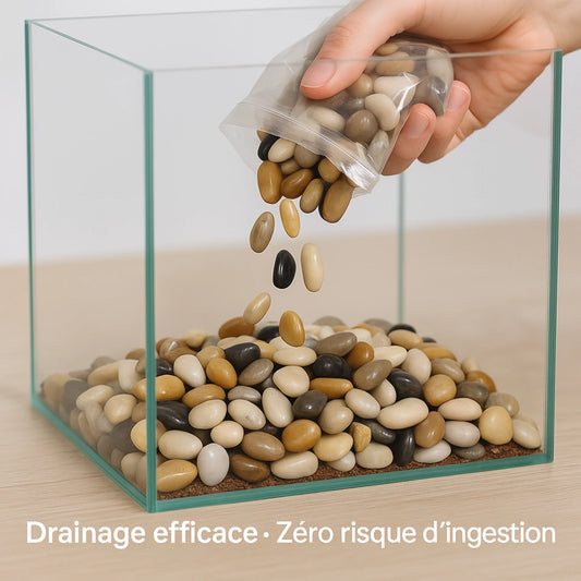 Gravier Naturel pour Terrarium 