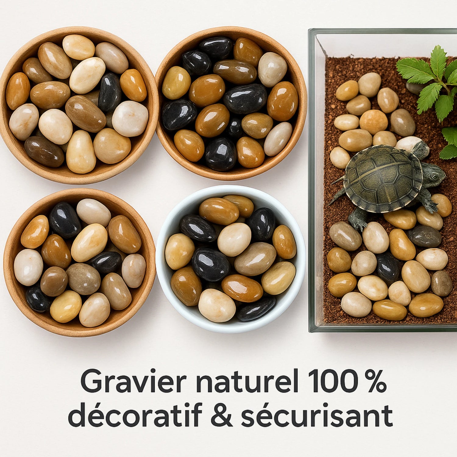 Gravier Naturel pour Terrarium 