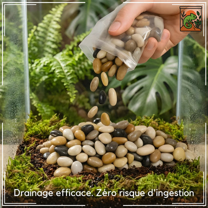 Gravier Naturel pour Terrarium 
