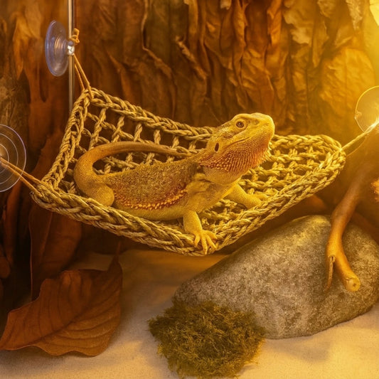 Hamac pour Reptile Ultra-Confort – Fibres Naturelles 