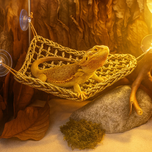 Hamac pour Reptile Ultra-Confort – Fibres Naturelles & Ventouses 