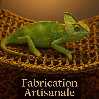 Hamac pour Reptile Ultra-Confort – Fibres Naturelles & Ventouses 