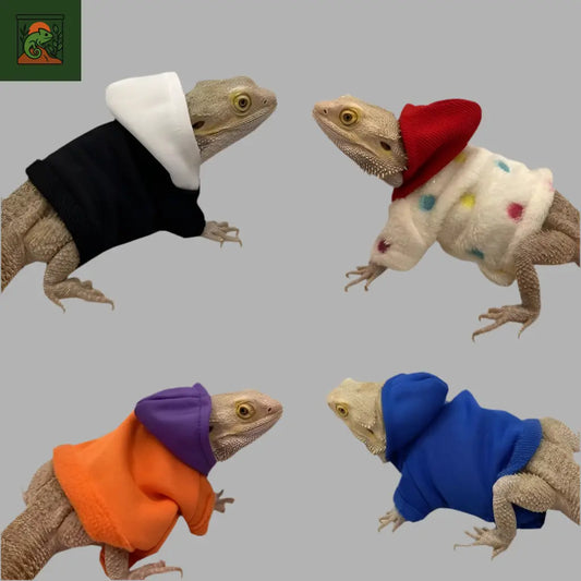 Hoodie pour Lézard 