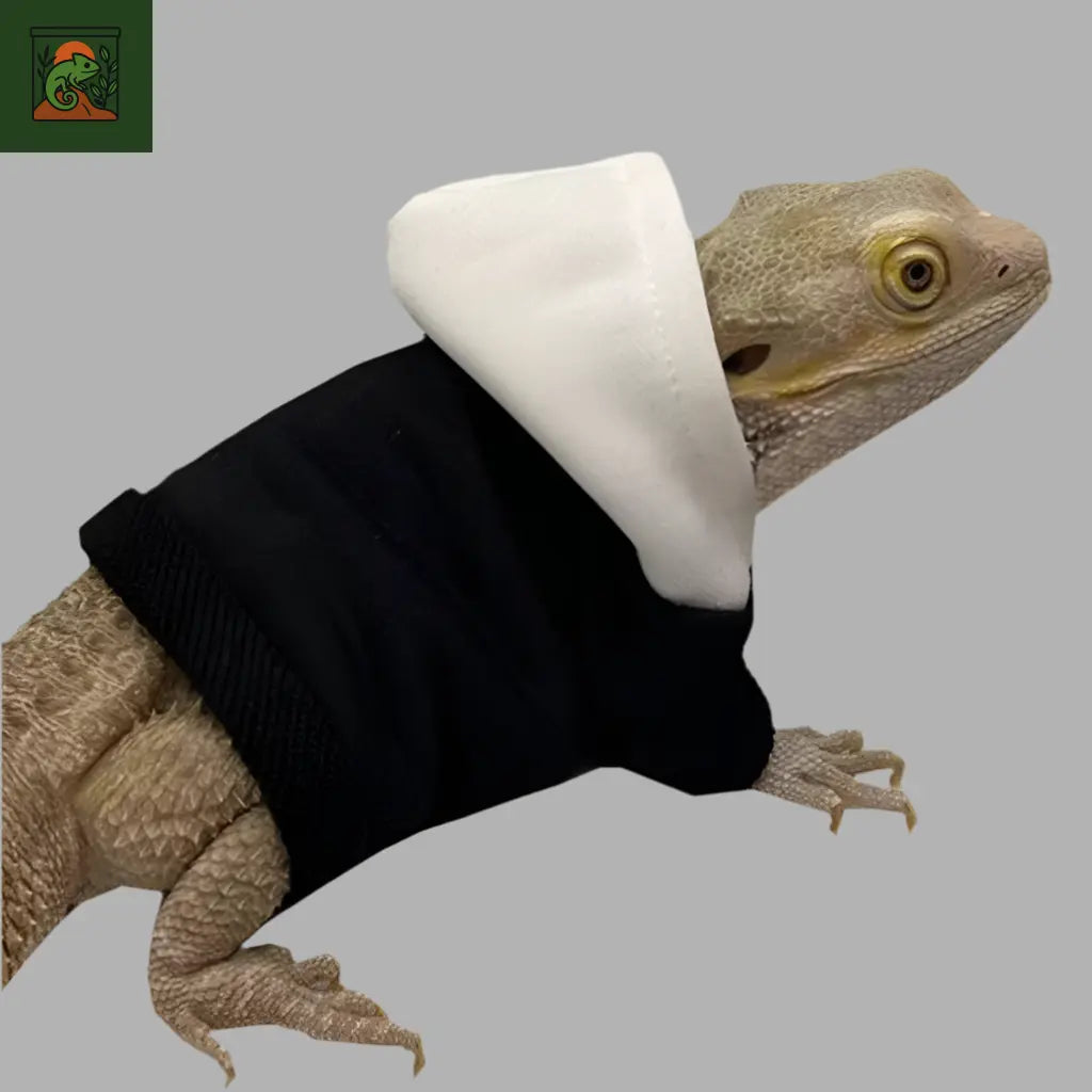 Hoodie pour Lézard 