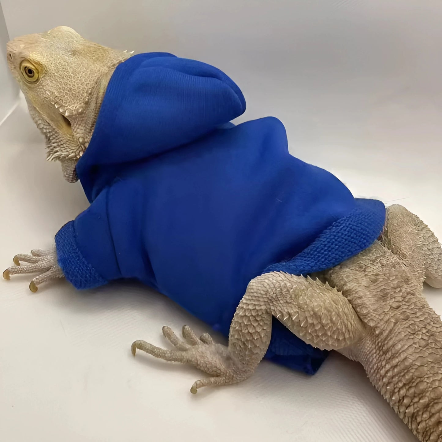 Hoodie pour Lézard Terrarium en Flanelle 
