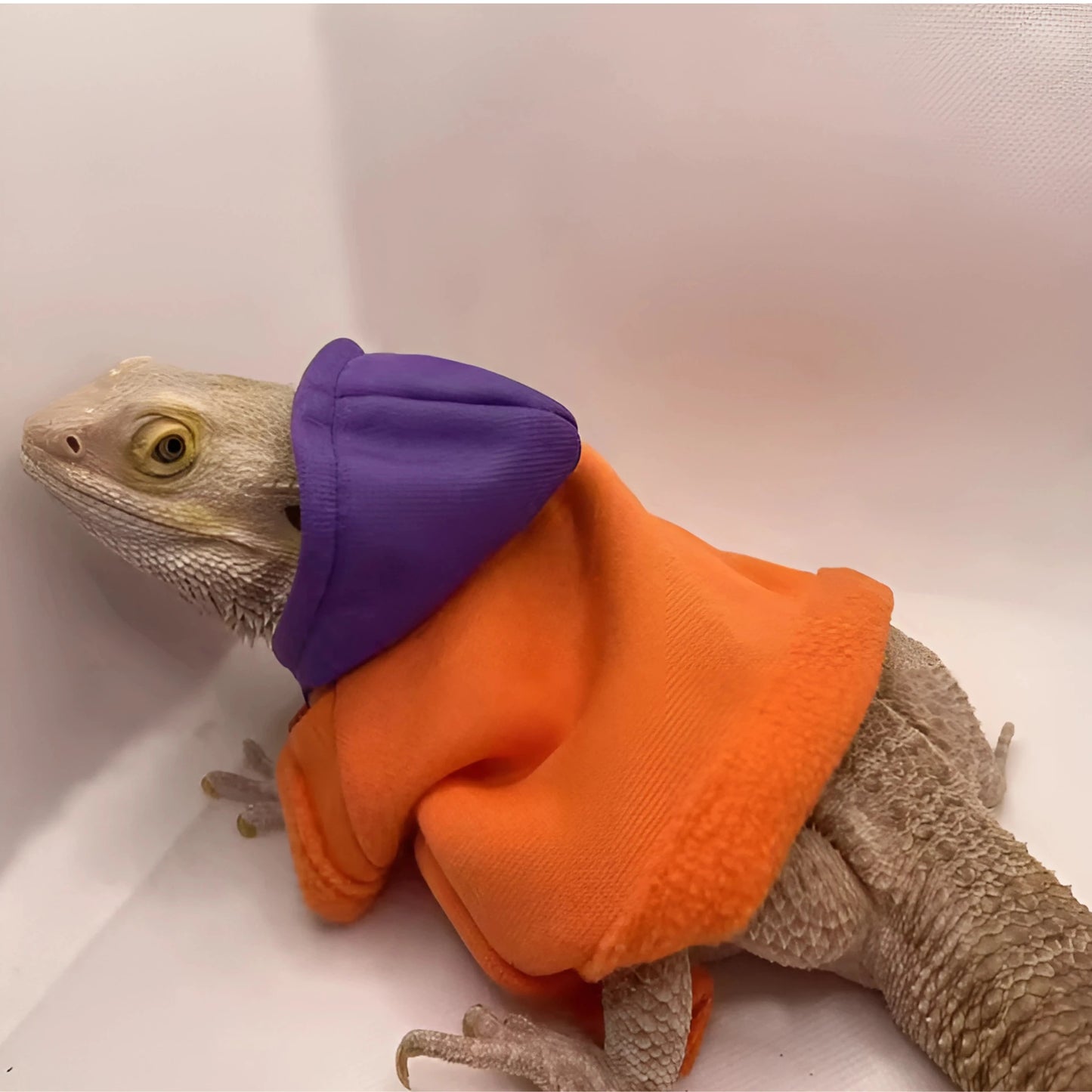 Hoodie pour Lézard Terrarium en Flanelle 