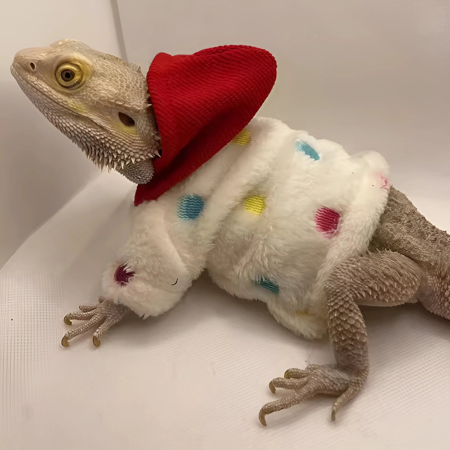 Hoodie pour Lézard Terrarium en Flanelle 