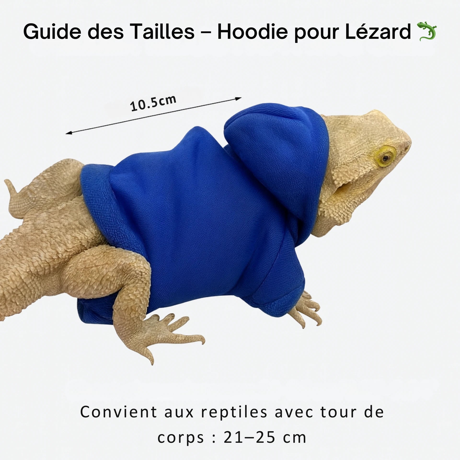 Hoodie pour Lézard Terrarium en Flanelle 