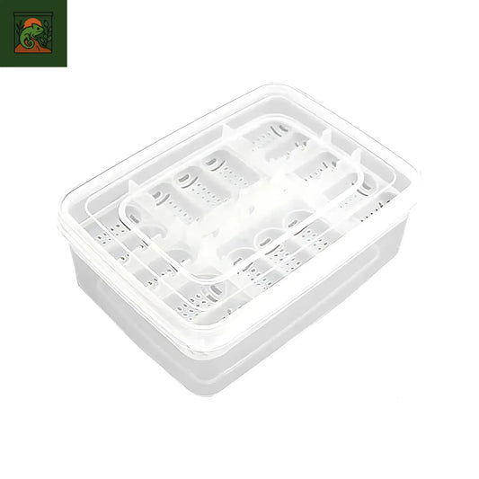 Incubateur compact 16 œufs pour reptiles 
