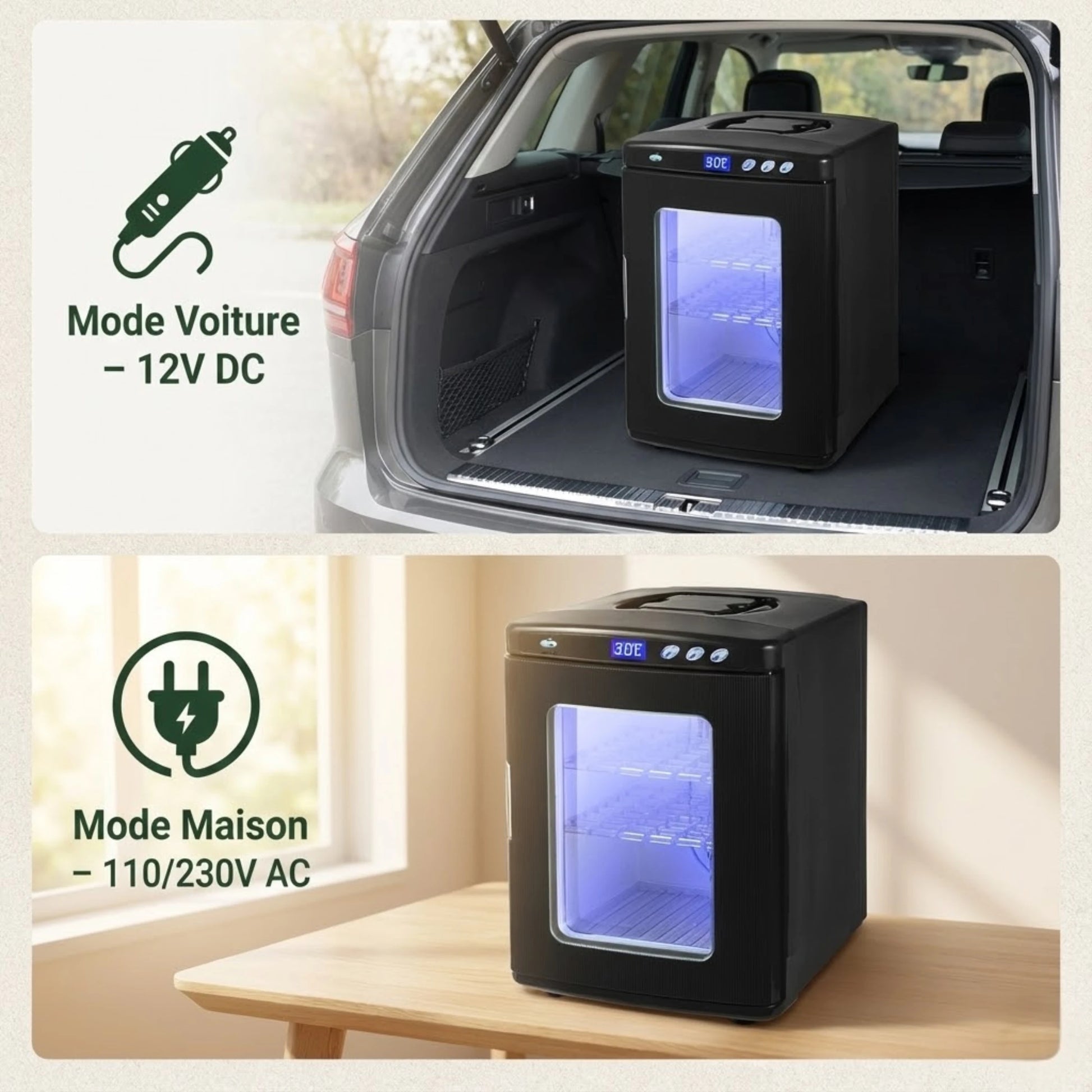 Incubateur thermoélectrique pour reptiles 