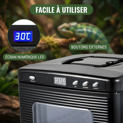 Incubateur thermoélectrique pour reptiles 