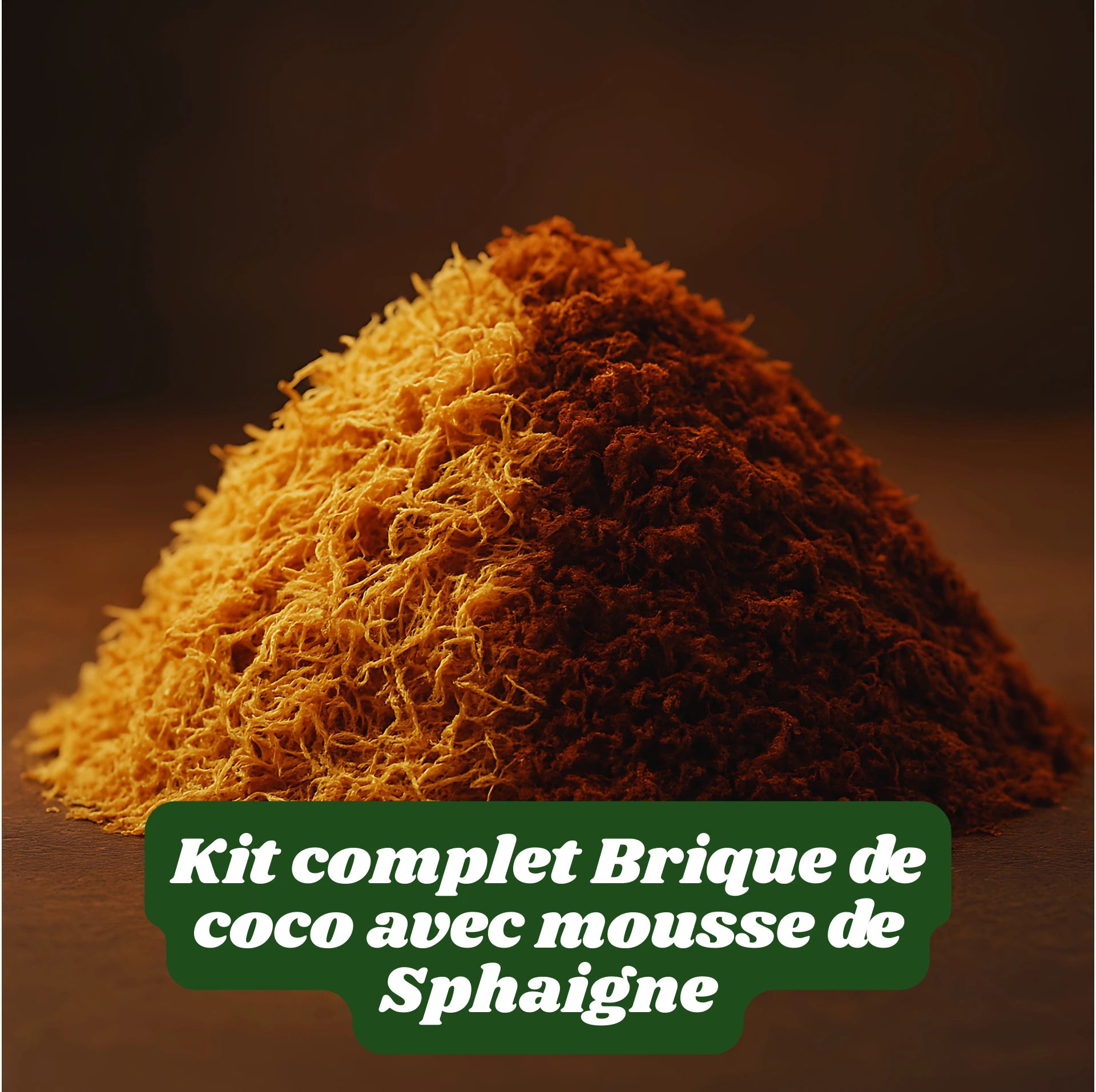 Kit- Fibre de Coco pour Terrarium et Mousse de Sphaigne 