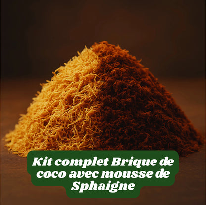 Kit- Fibre de Coco pour Terrarium et Mousse de Sphaigne 