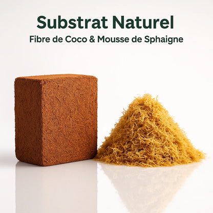 Kit- Fibre de Coco pour Terrarium et Mousse de Sphaigne 