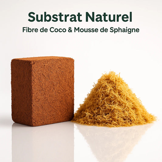 Kit- Fibre de Coco pour Terrarium et Mousse de Sphaigne 
