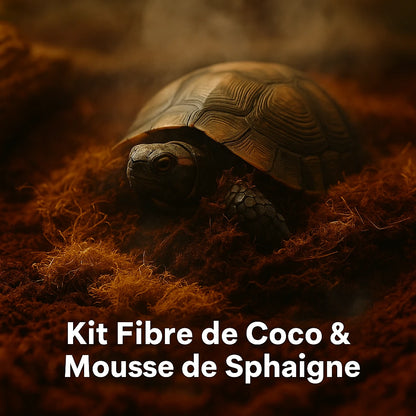 Kit- Fibre de Coco pour Terrarium et Mousse de Sphaigne 