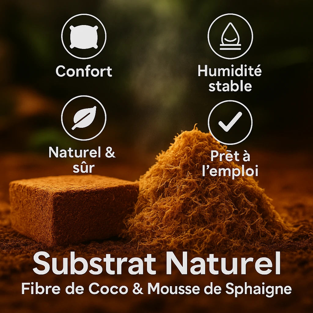 Kit- Fibre de Coco pour Terrarium et Mousse de Sphaigne 