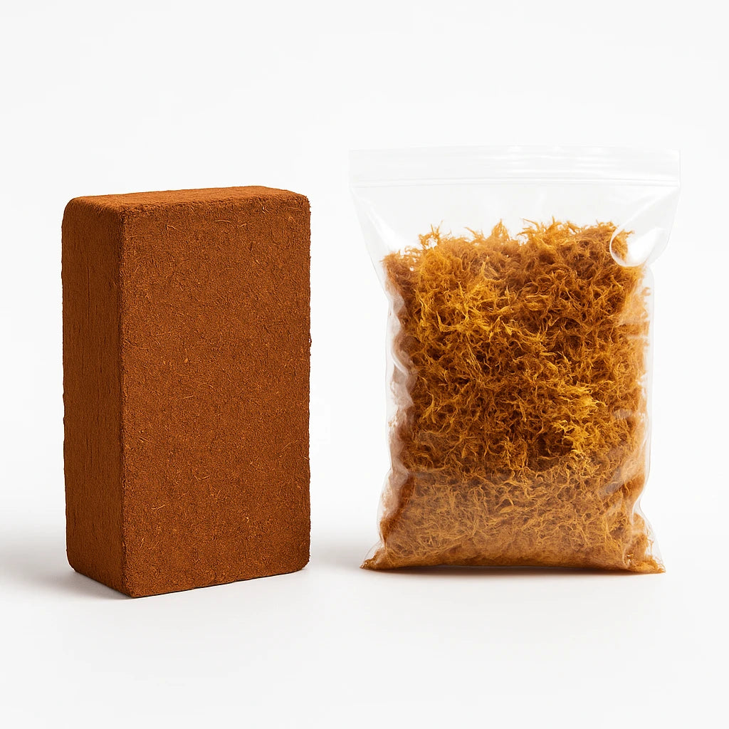 Kit- Fibre de Coco pour Terrarium et Mousse de Sphaigne 