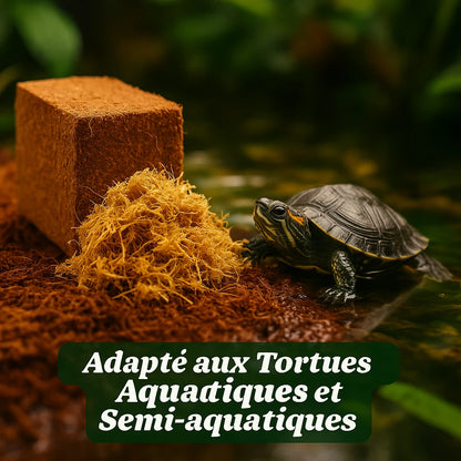 Kit- Fibre de Coco pour Terrarium et Mousse de Sphaigne 