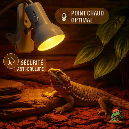 Lampe Chauffante 360° pour Terrarium – Avec Support 