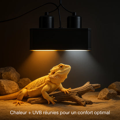 Lampe Double Dôme a Terrarium pour Reptiles 