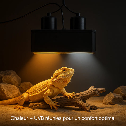 Lampe Double Dôme a Terrarium pour Reptiles 