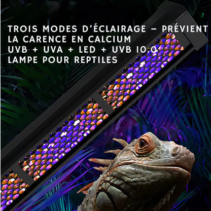 Lampe UVB 10.0 à Spectre Complet pour Terrarium 