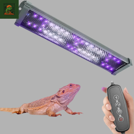 Lampe UVB 10.0 à Spectre Complet pour Terrarium 
